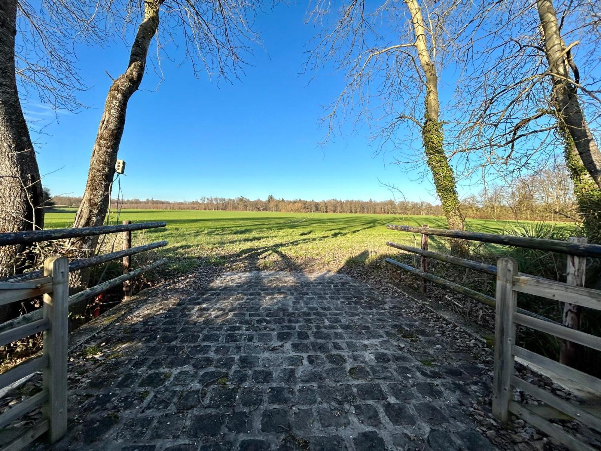 Le Domaine De Brie Lägenhet Chatillon-la-Borde Exteriör bild
