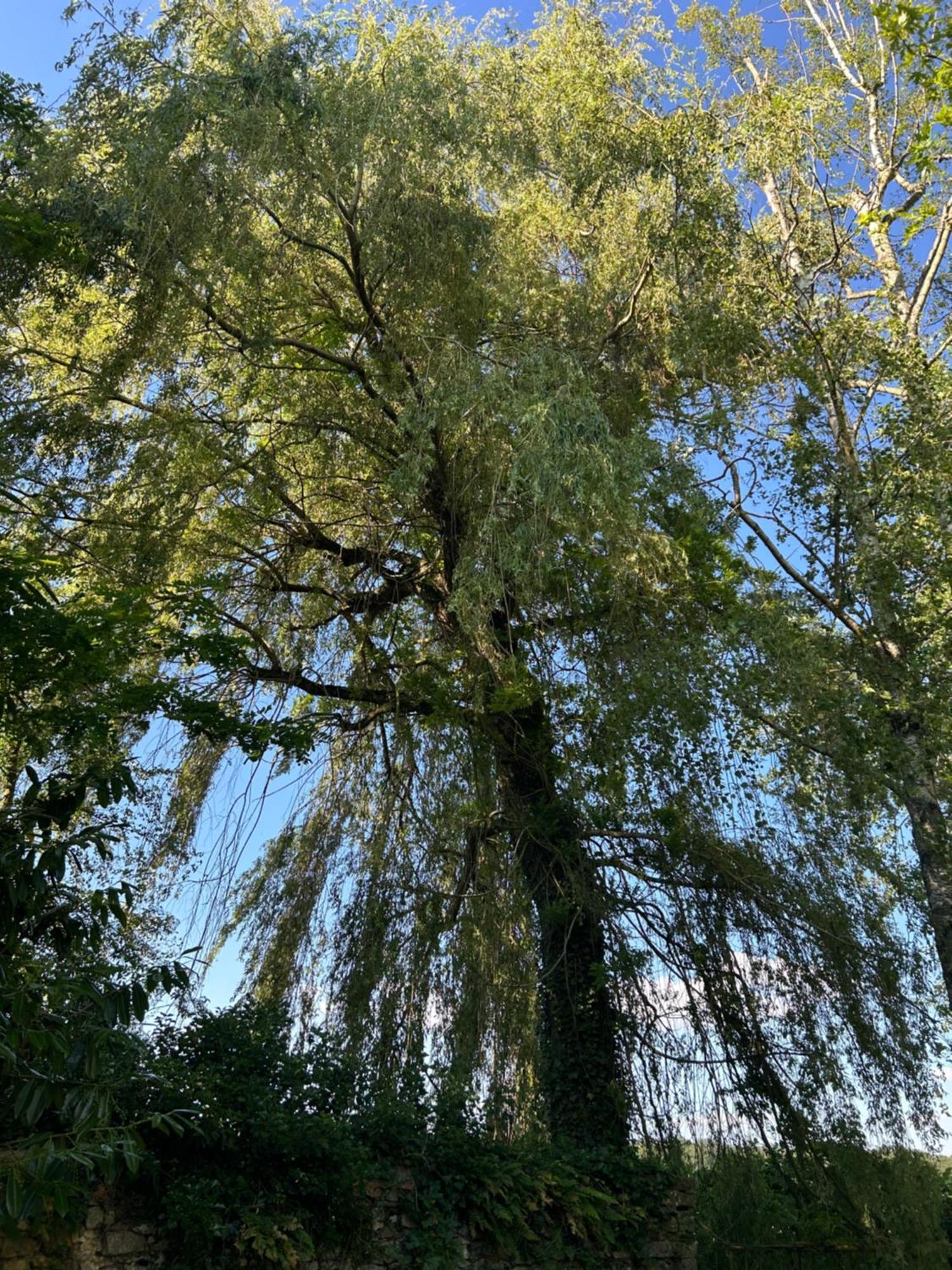 Le Domaine De Brie Lägenhet Chatillon-la-Borde Exteriör bild
